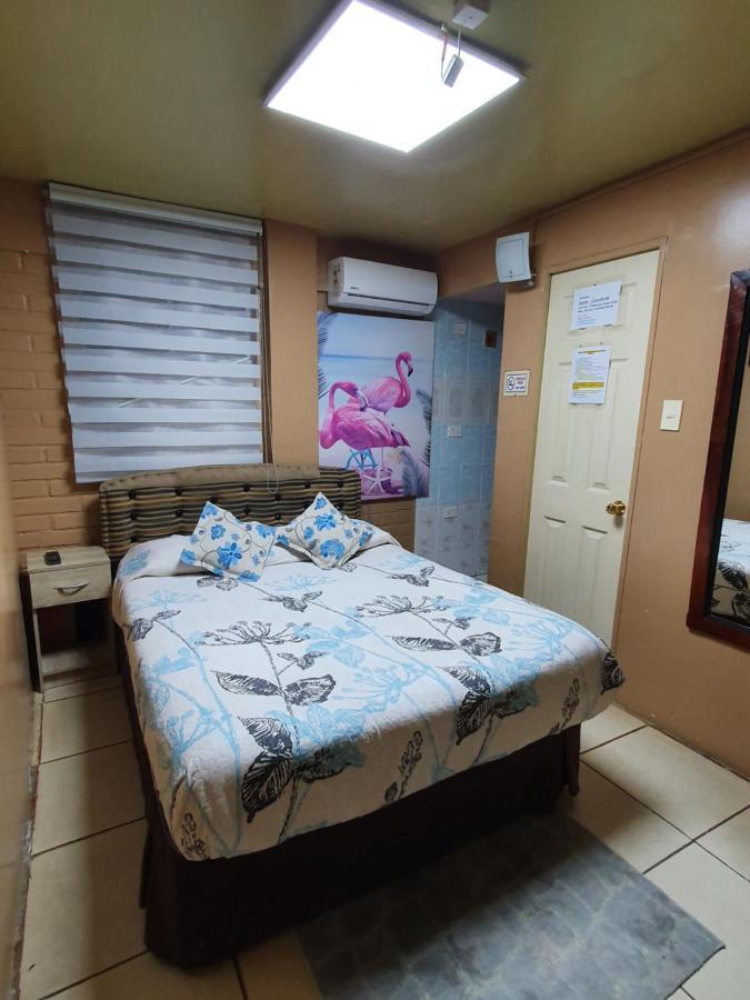 Hostal Mi Maravilla Λα Σερένα Εξωτερικό φωτογραφία